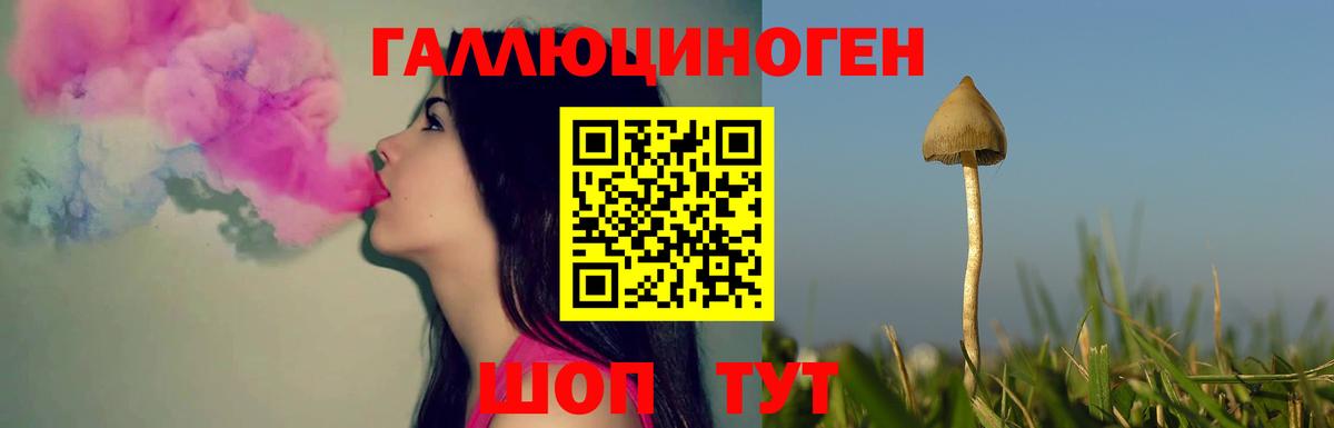 Галлюциногенные грибы мицелий Чебаркуль